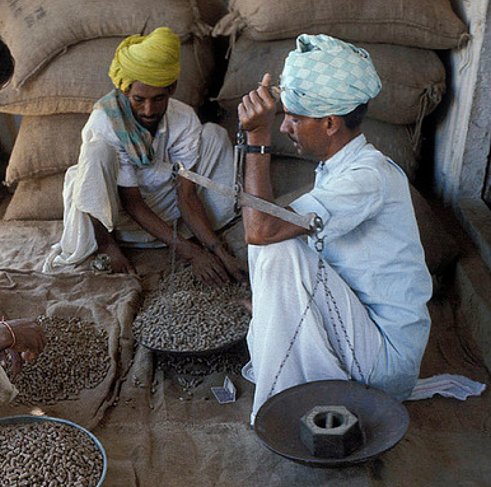 Man Harvesting - 2011 Annual Conference